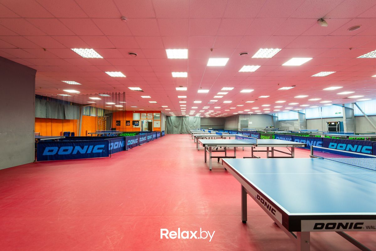 Галерея Клуб настольного тенниса King Pong Club (Кинг Понг Клаб) - фото 7707990