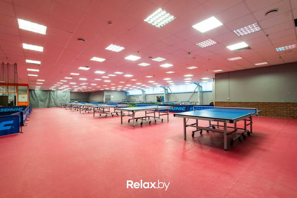 Галерея Клуб настольного тенниса King Pong Club (Кинг Понг Клаб) - фото 7707991